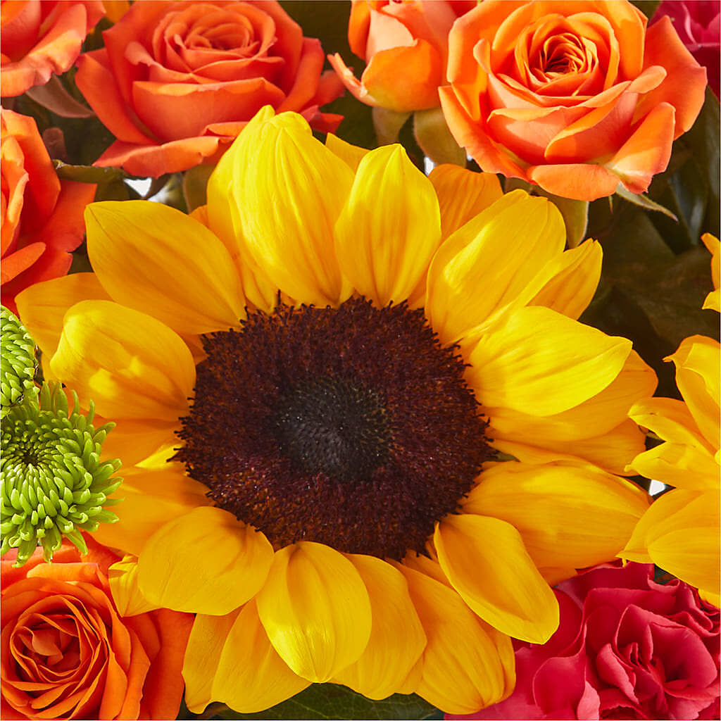 Sun-drenched Blooms Box Bouquet –  The Florist Ltd, Denton TX