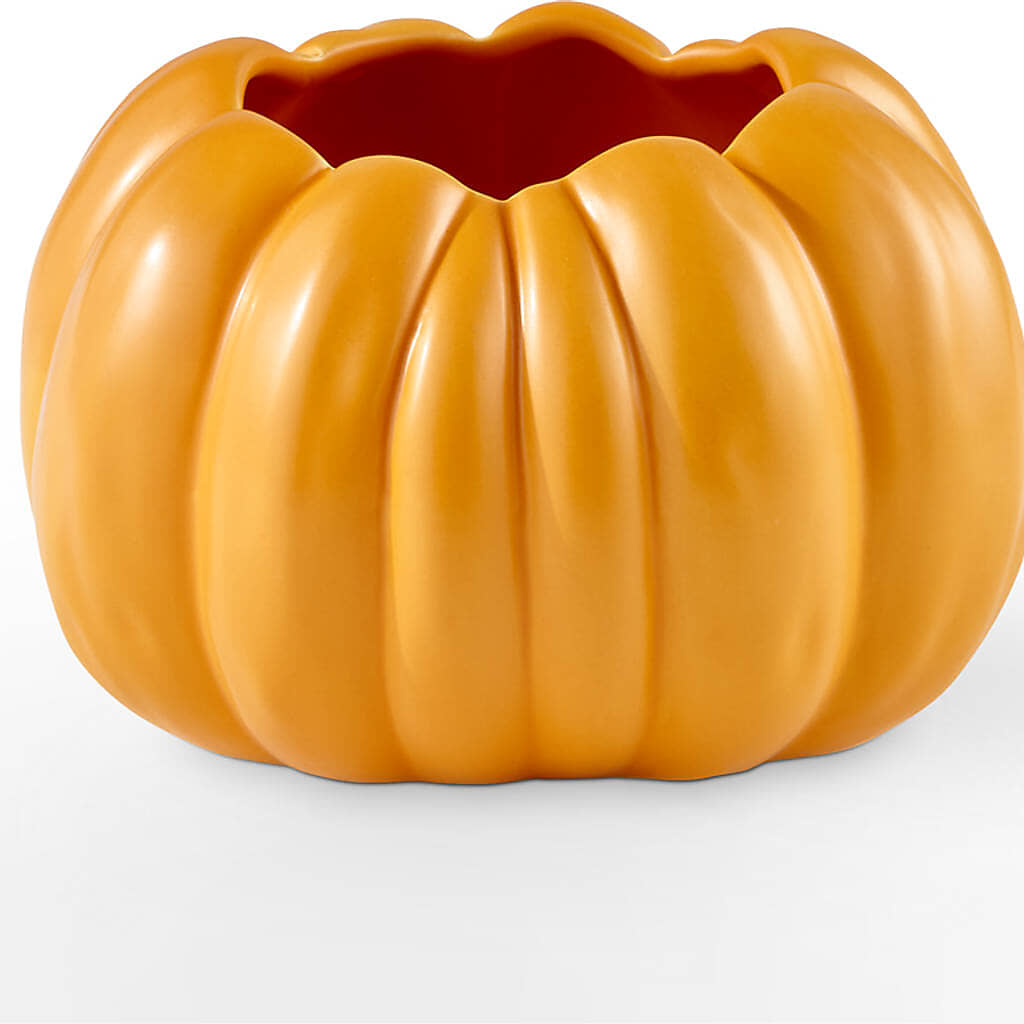 Golden Gourd Pumpkin Bouquet –  The Florist Ltd, Denton TX