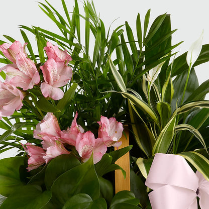 Living Spirit Dishgarden –  The Florist Ltd, Denton TX
