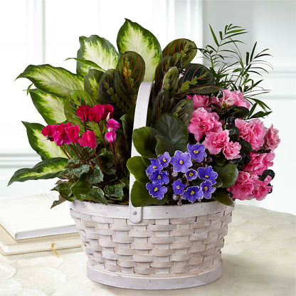 Peaceful Garden Planter –  The Florist Ltd, Denton TX