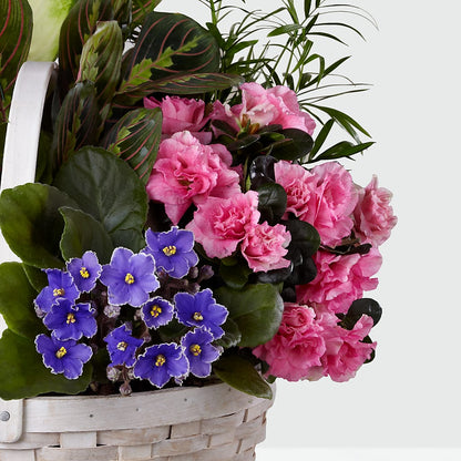 Peaceful Garden Planter –  The Florist Ltd, Denton TX