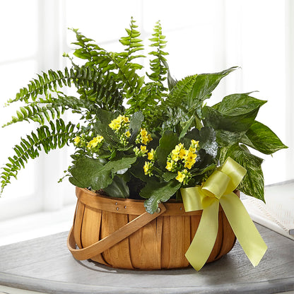 Always Dear Dishgarden –  The Florist Ltd, Denton TX