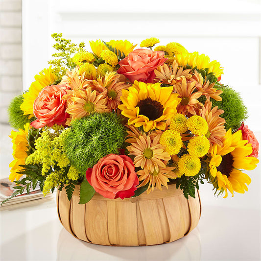 Harvest Sunflower Basket –  The Florist Ltd, Denton TX