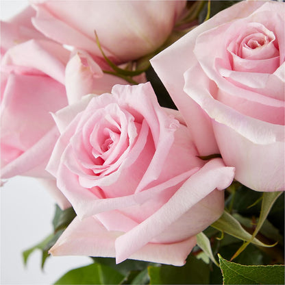 Picture Perfect Pink Rose Bouquet –  The Florist Ltd, Denton TX