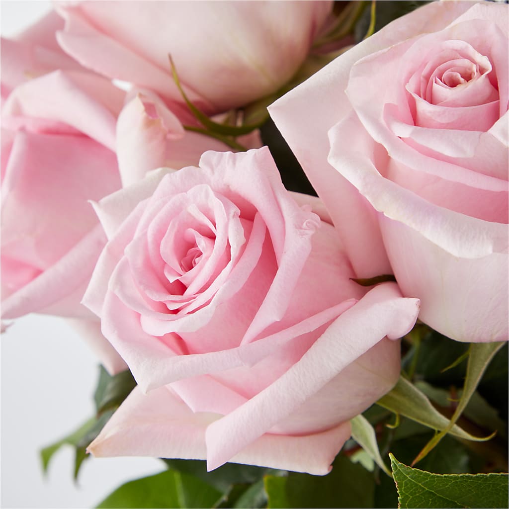 Picture Perfect Pink Rose Bouquet –  The Florist Ltd, Denton TX