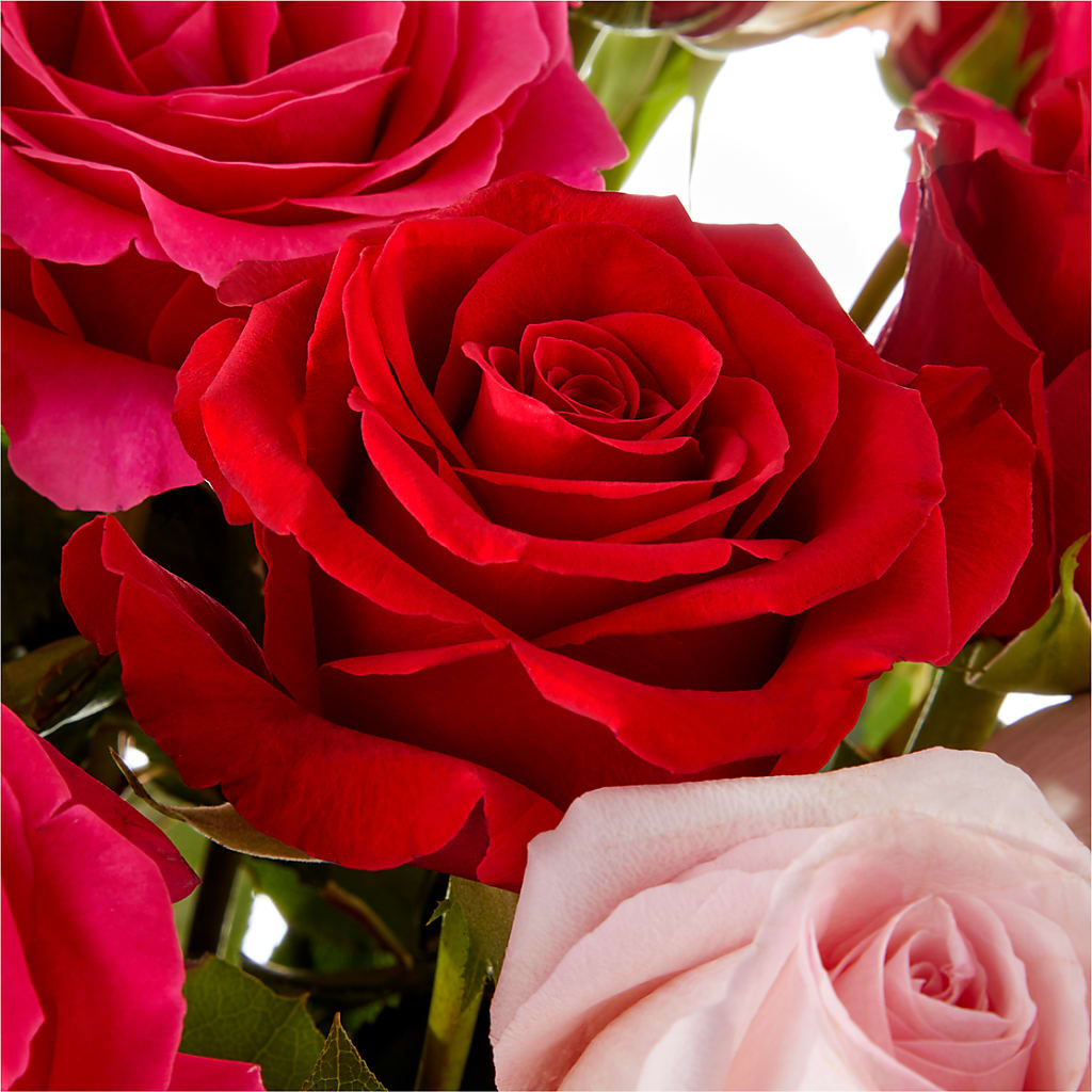 Love Notes Rose Bouquet –  The Florist Ltd, Denton TX