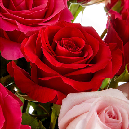 Love Notes Rose Bouquet –  The Florist Ltd, Denton TX