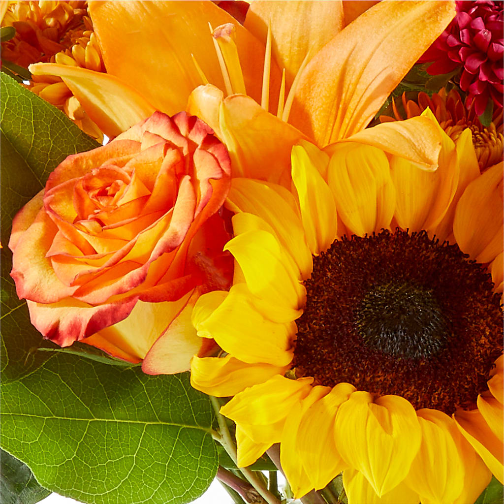 Fall Day Bouquet –  The Florist Ltd, Denton TX