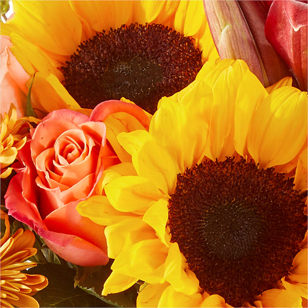 Acorn Lane Bouquet –  The Florist Ltd, Denton TX