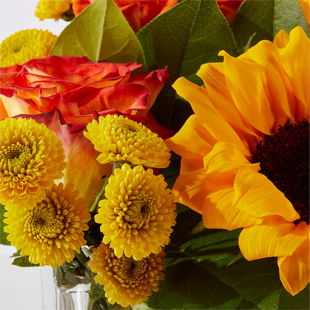 Picnic in the Park Bouquet –  The Florist Ltd, Denton TX