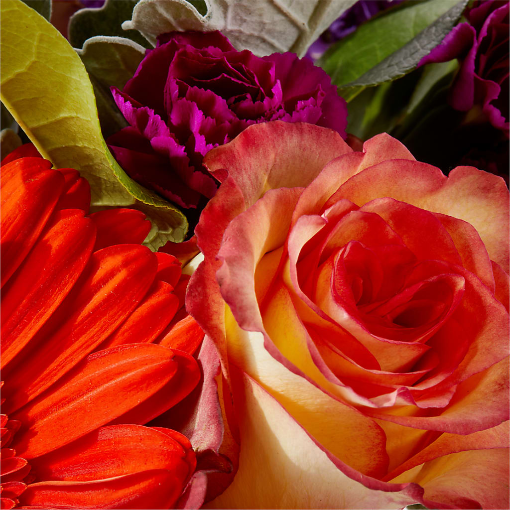 Sangria Bouquet –  The Florist Ltd, Denton TX