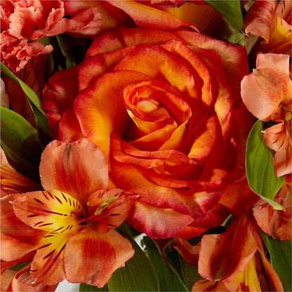 Apricot Glow Bouquet –  The Florist Ltd, Denton TX