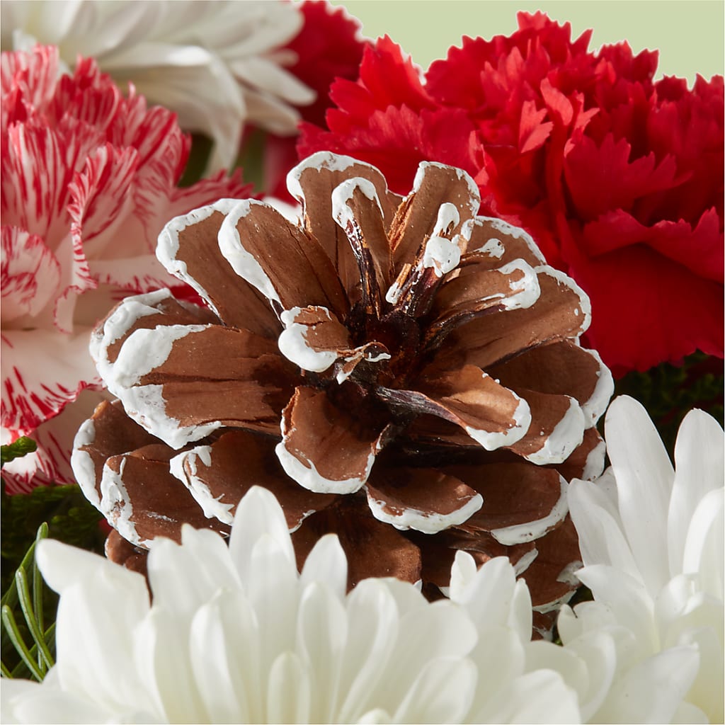 Candy Cane Lane Bouquet –  The Florist Ltd, Denton TX