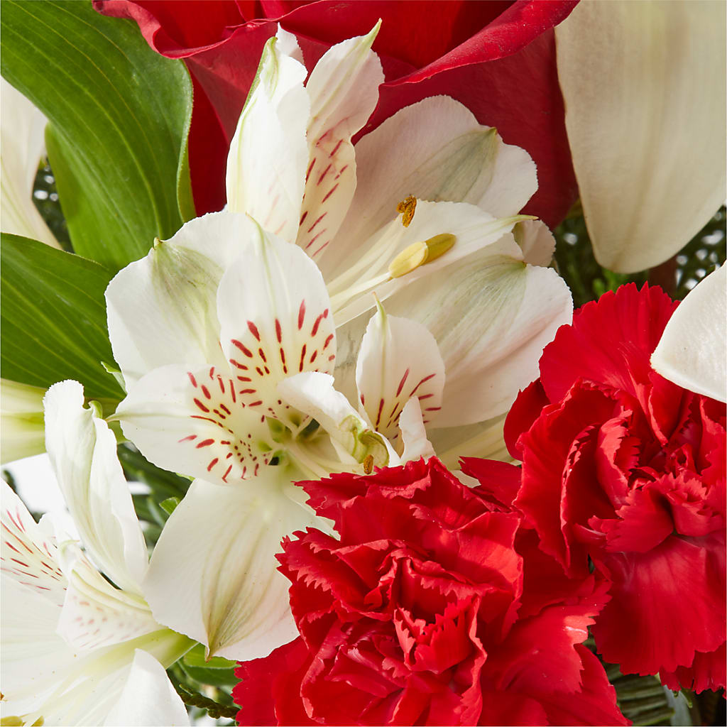 Holiday Season Bouquet –  The Florist Ltd, Denton TX