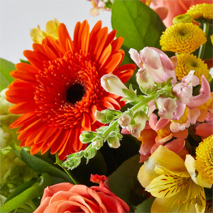Autumn Sunshine Bouquet –  The Florist Ltd, Denton TX