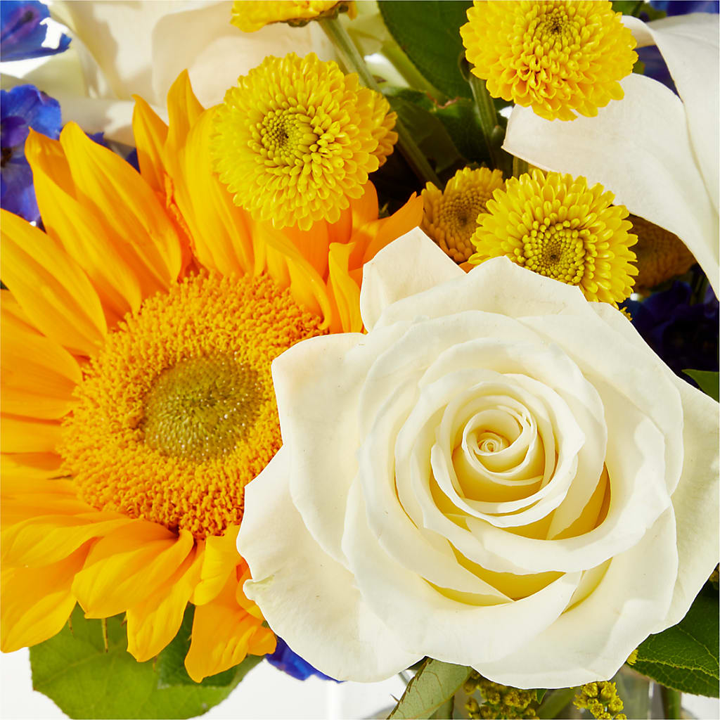 Stargazing Bouquet –  The Florist Ltd, Denton TX