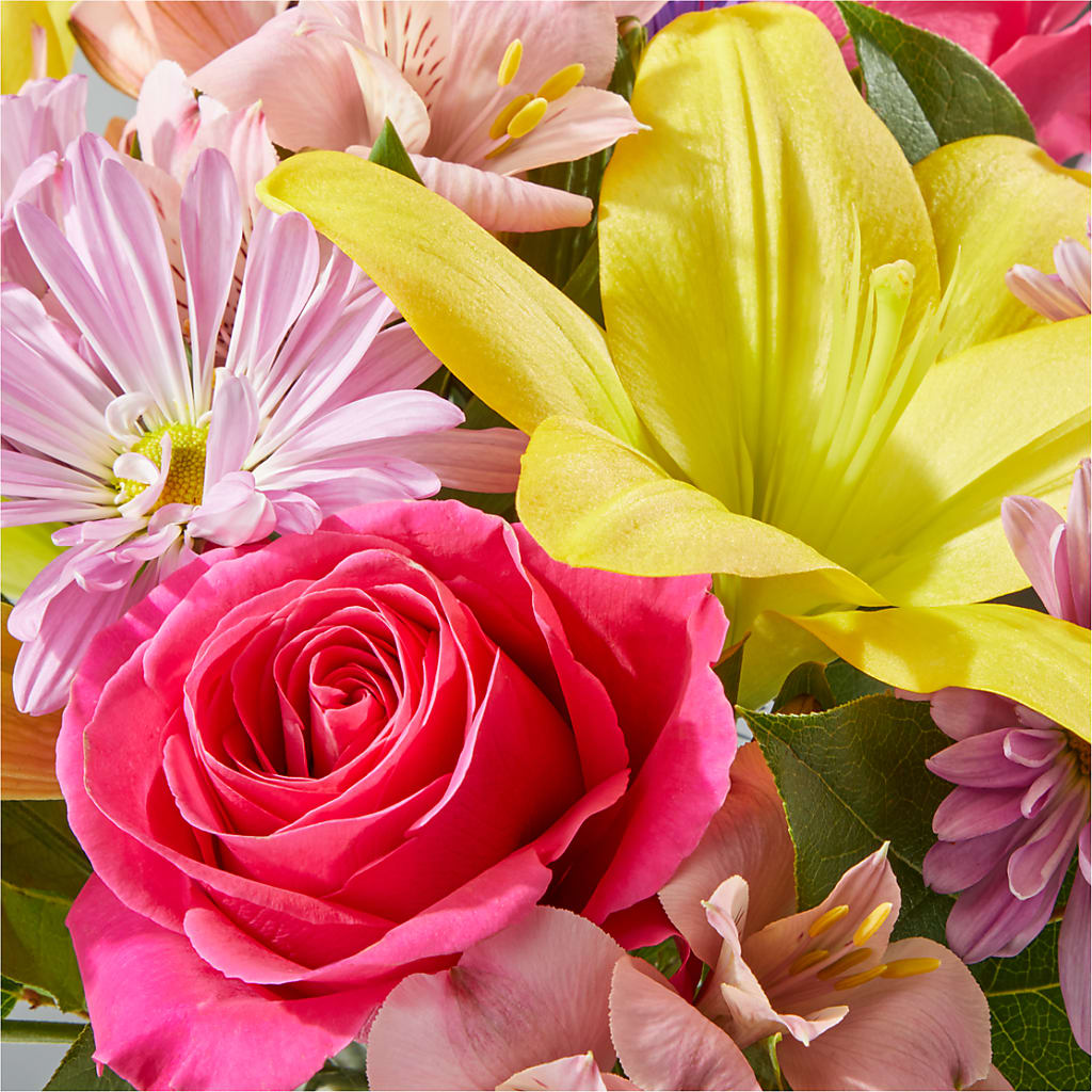Sprinkles Bouquet –  The Florist Ltd, Denton TX