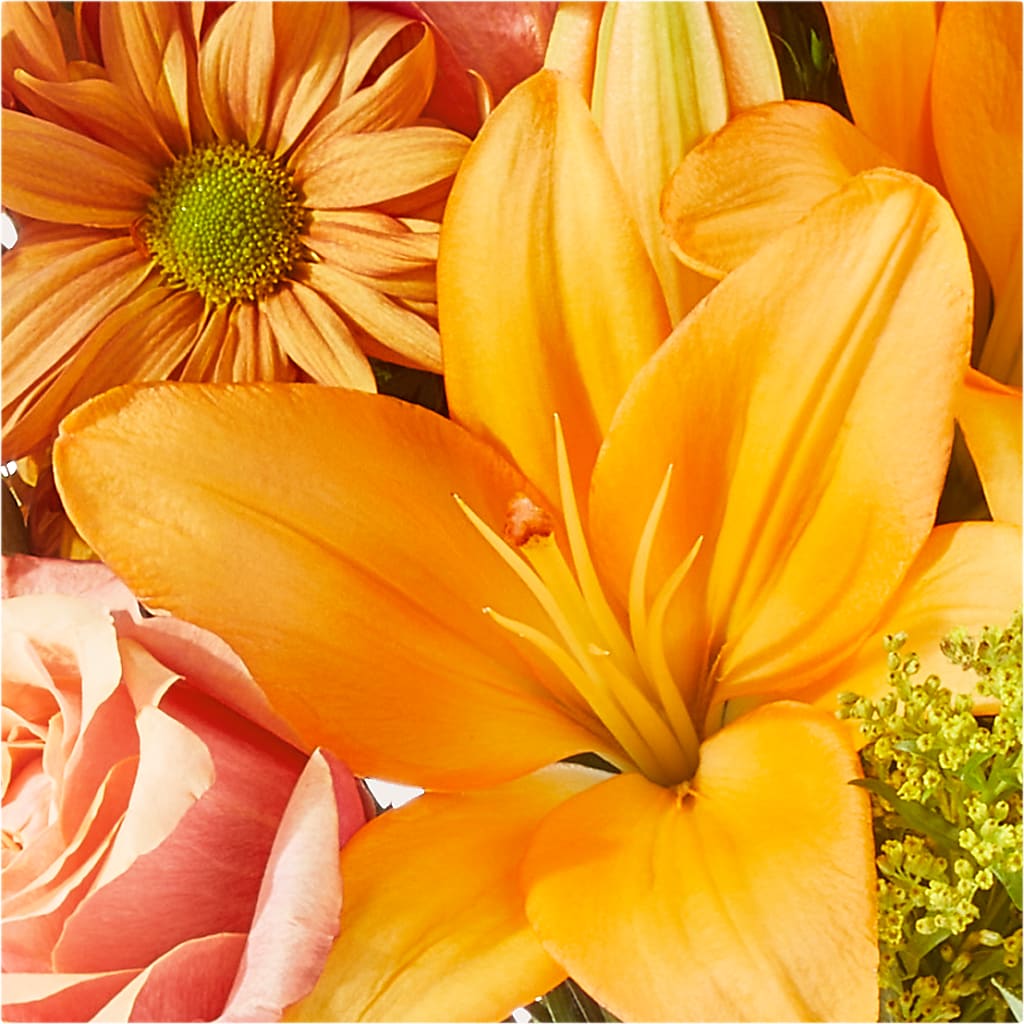 Harvest Hayride Bouquet –  The Florist Ltd, Denton TX