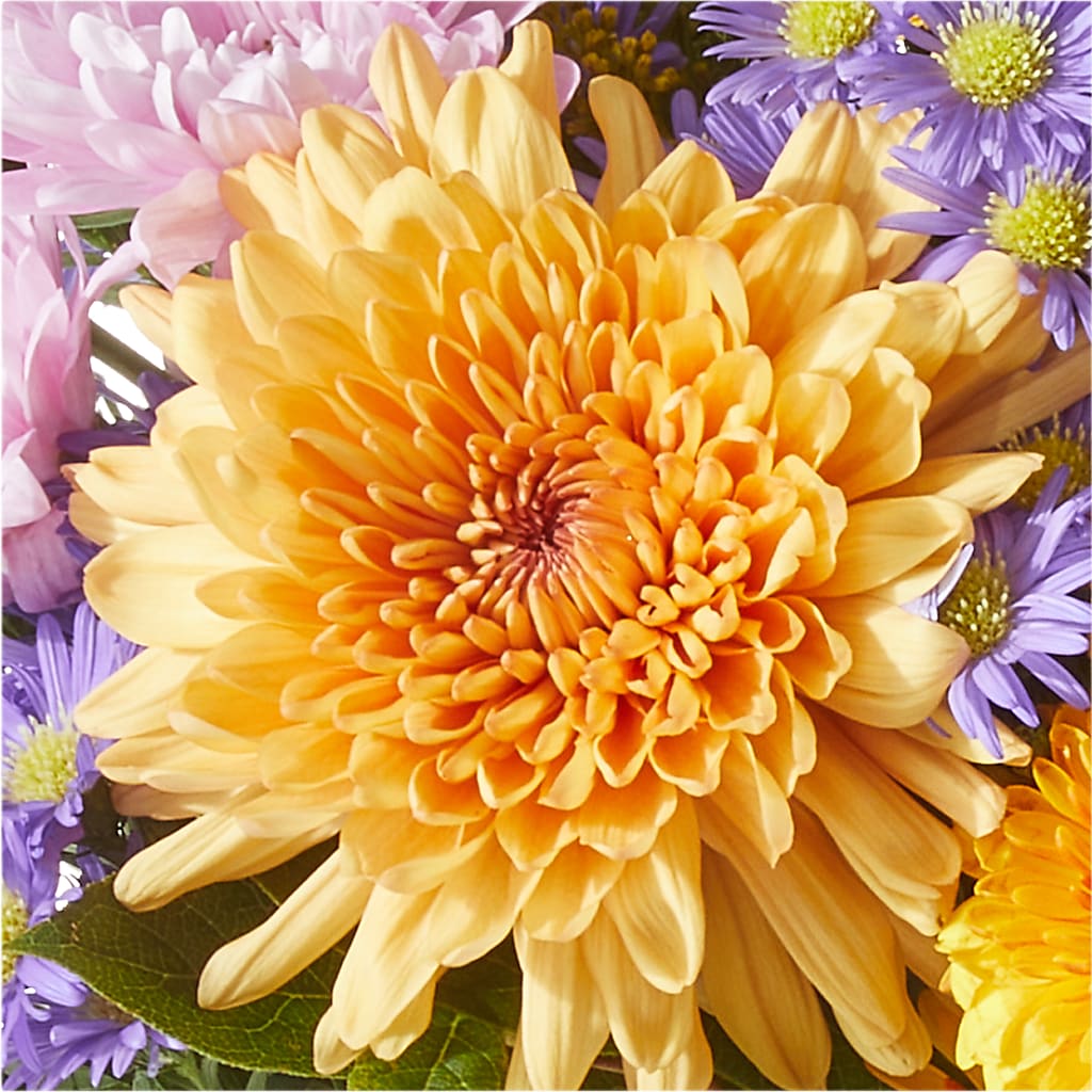 Countryside Bouquet –  The Florist Ltd, Denton TX