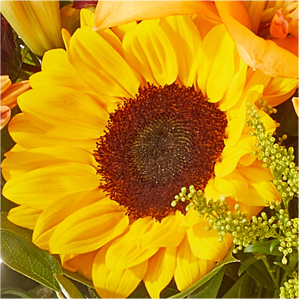Seasons Change Bouquet –  The Florist Ltd, Denton TX