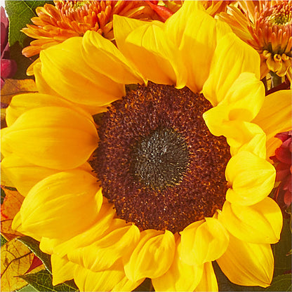 Sunny Side Bouquet –  The Florist Ltd, Denton TX