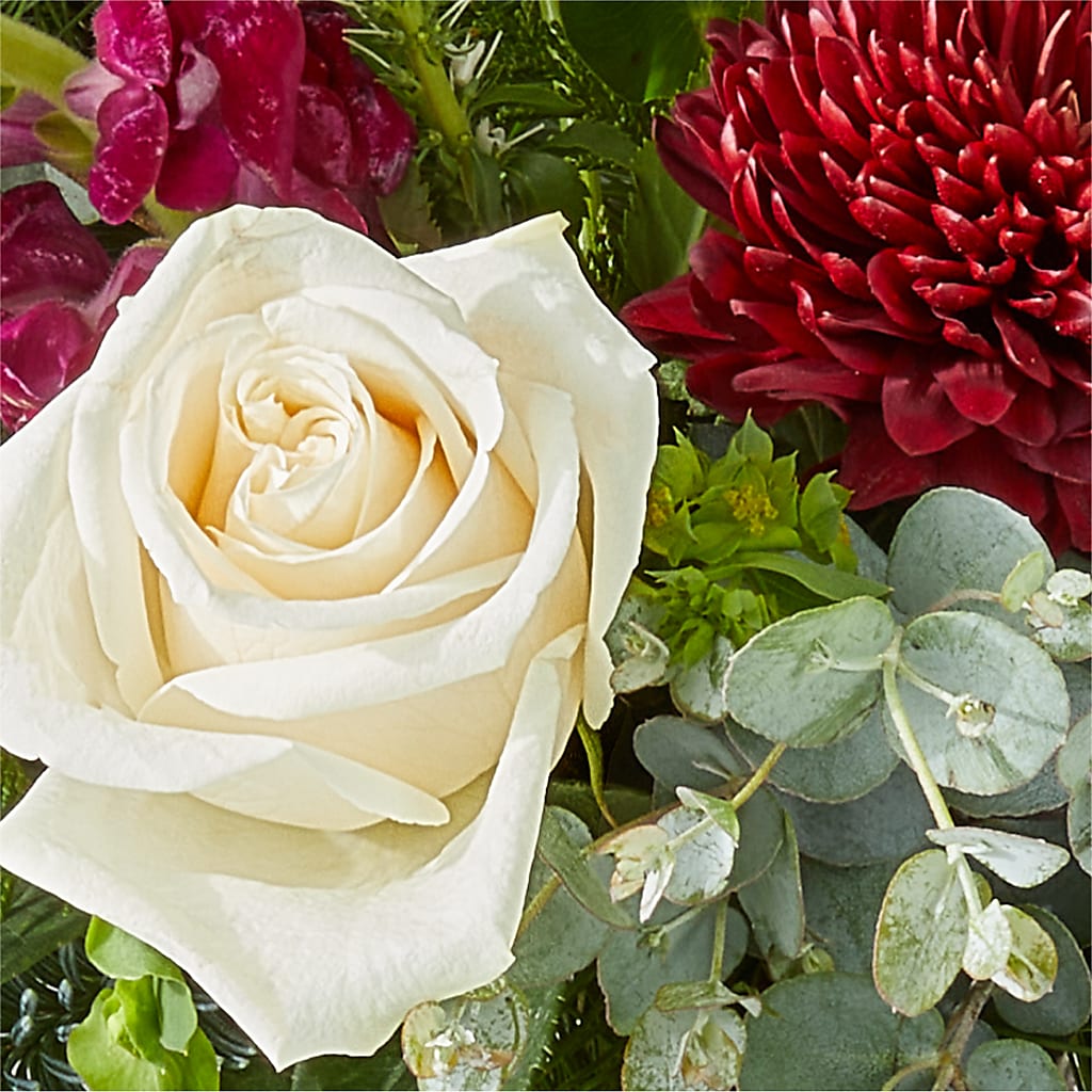 Cranberry Fizz Bouquet –  The Florist Ltd, Denton TX