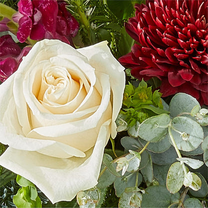 Cranberry Fizz Bouquet –  The Florist Ltd, Denton TX