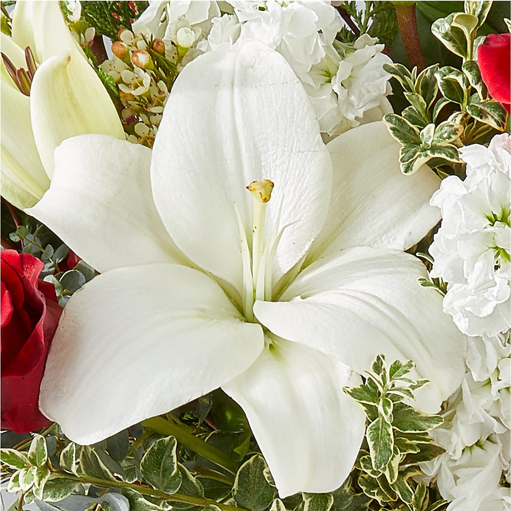 Twinkle Lights Bouquet –  The Florist Ltd, Denton TX