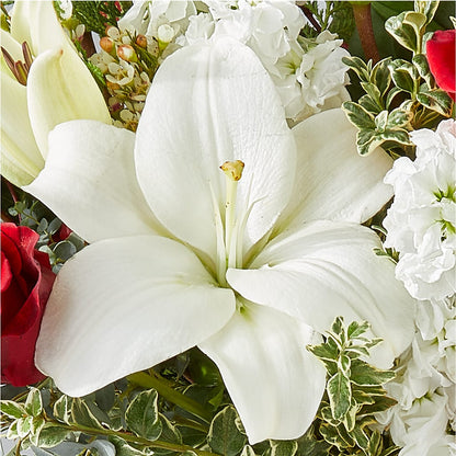 Twinkle Lights Bouquet –  The Florist Ltd, Denton TX