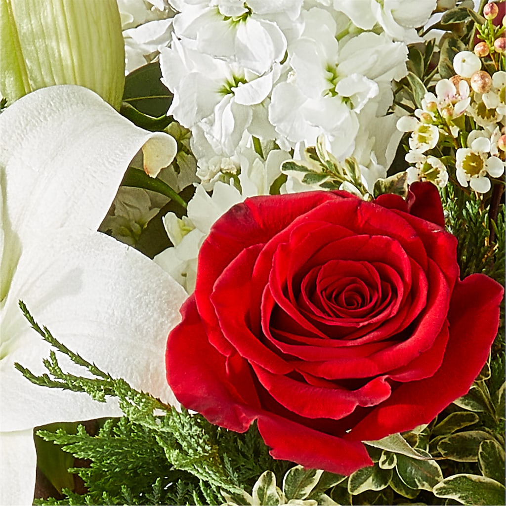 Twinkle Lights Bouquet –  The Florist Ltd, Denton TX