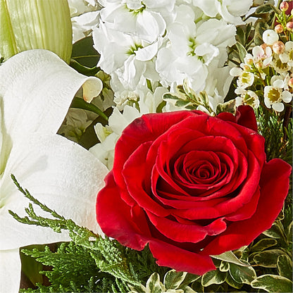 Twinkle Lights Bouquet –  The Florist Ltd, Denton TX