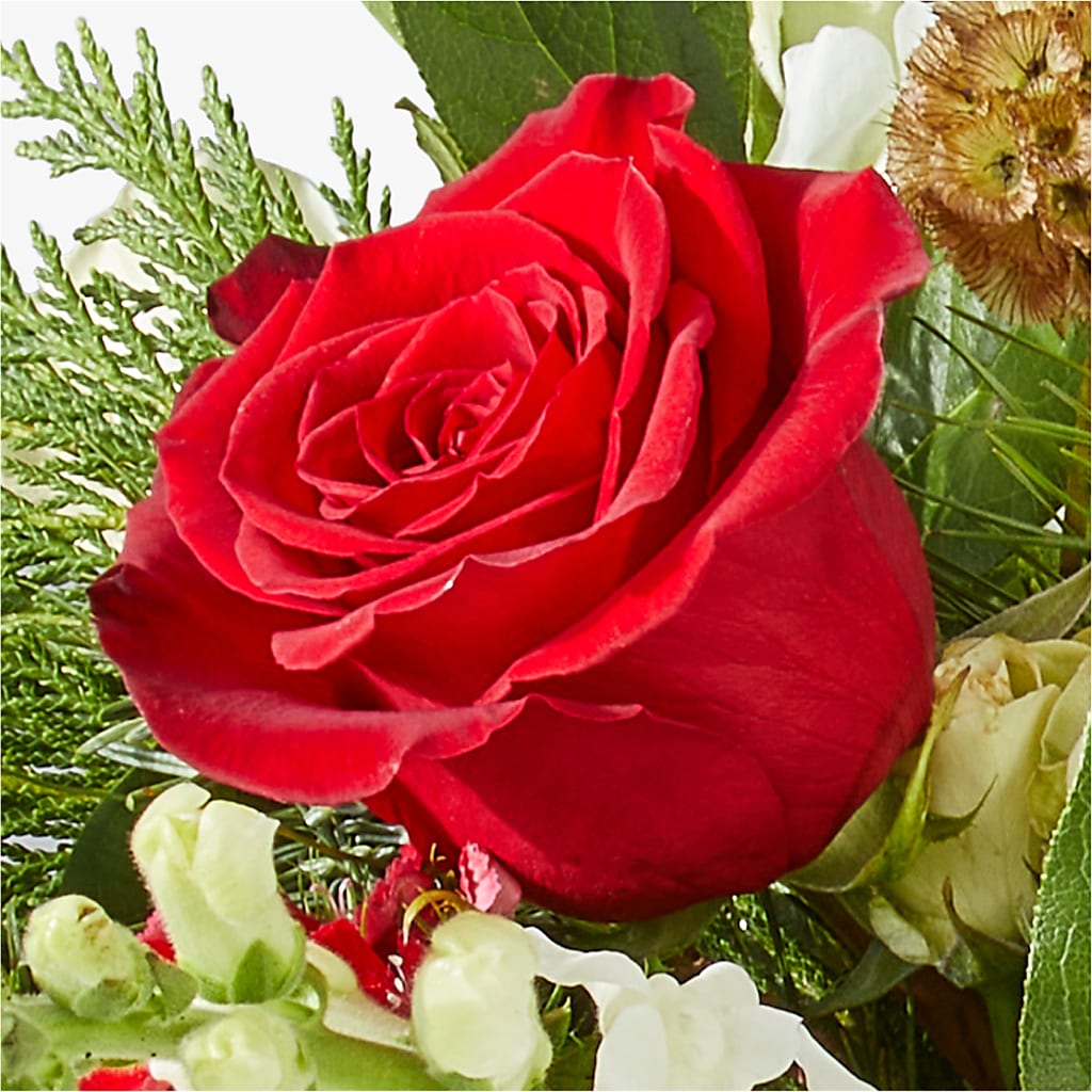 Deck the Halls Bouquet –  The Florist Ltd, Denton TX