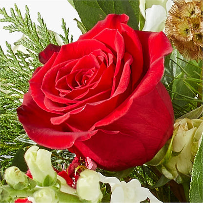 Deck the Halls Bouquet –  The Florist Ltd, Denton TX