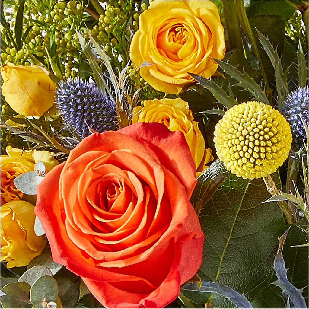Disco Bouquet –  The Florist Ltd, Denton TX