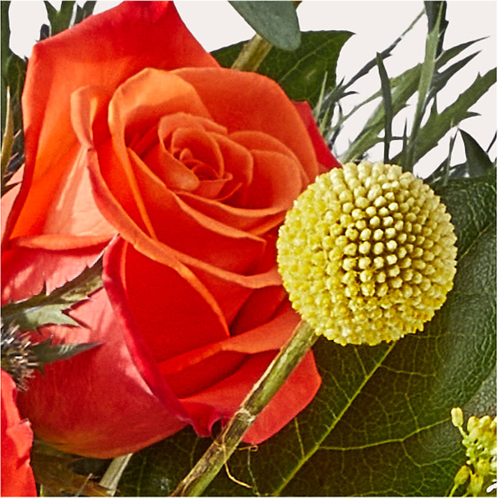 Disco Bouquet –  The Florist Ltd, Denton TX