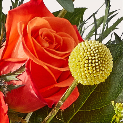 Disco Bouquet –  The Florist Ltd, Denton TX
