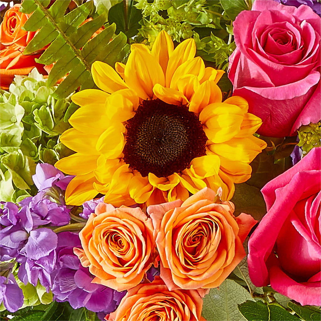 Vibrant Greetings Bouquet –  The Florist Ltd, Denton TX