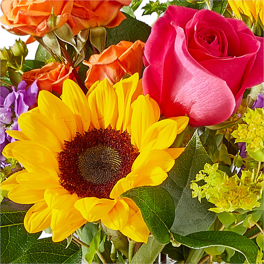 Vibrant Greetings Bouquet –  The Florist Ltd, Denton TX
