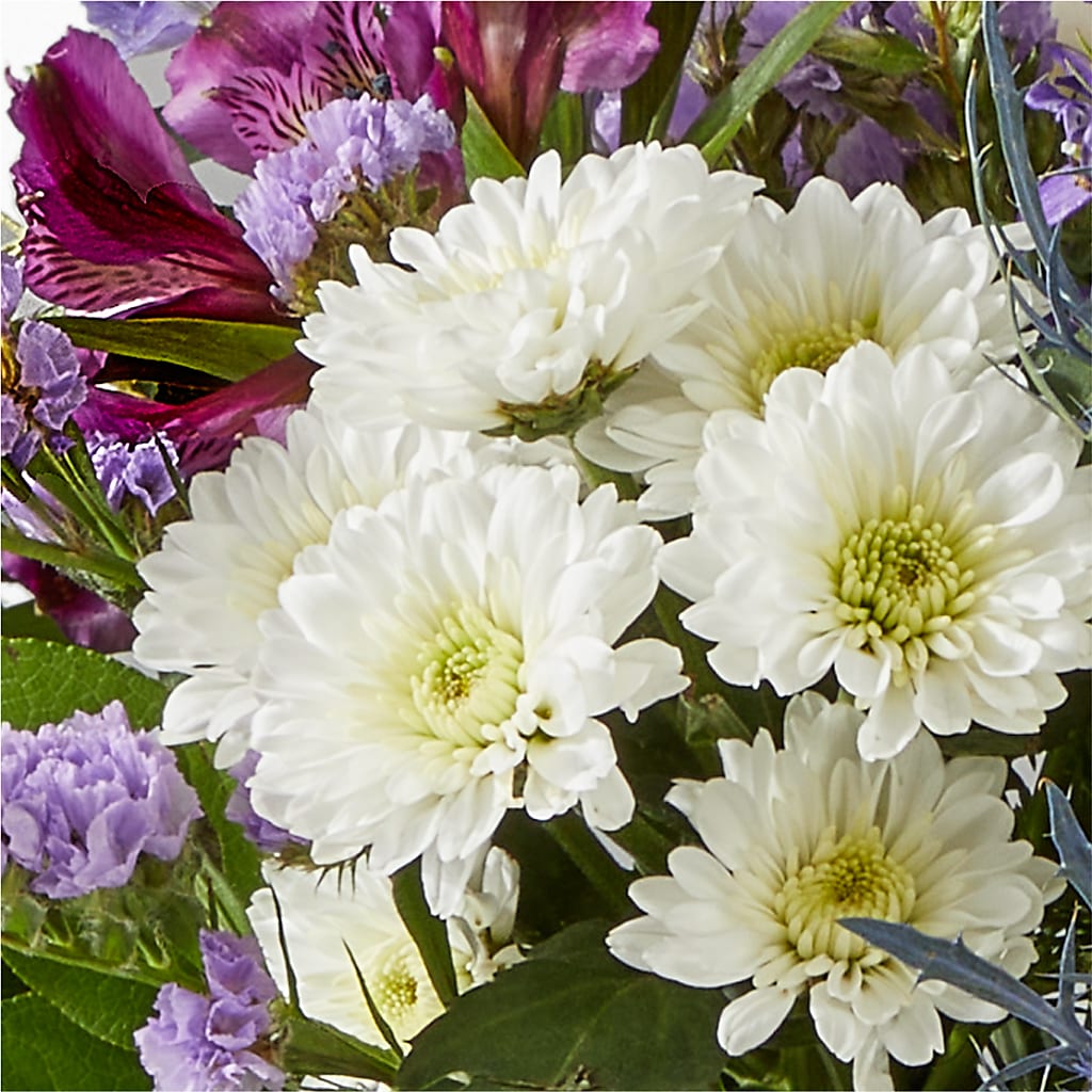 Shooting Star Bouquet –  The Florist Ltd, Denton TX
