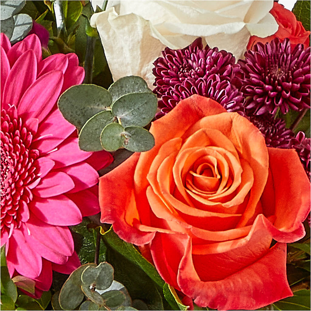 Smell the Roses Bouquet –  The Florist Ltd, Denton TX