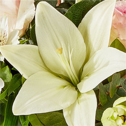 Ballet Slippers Bouquet –  The Florist Ltd, Denton TX