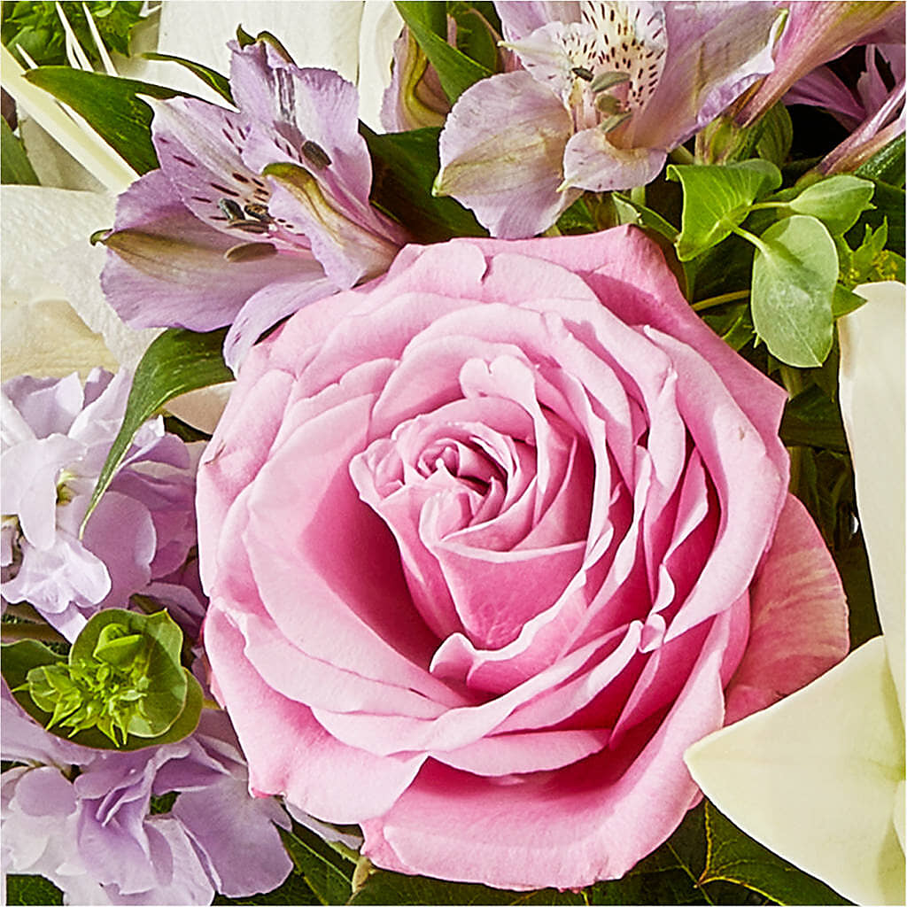 Daydreamer Bouquet –  The Florist Ltd, Denton TX