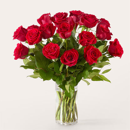 The One Red Rose Bouquet –  The Florist Ltd, Denton TX