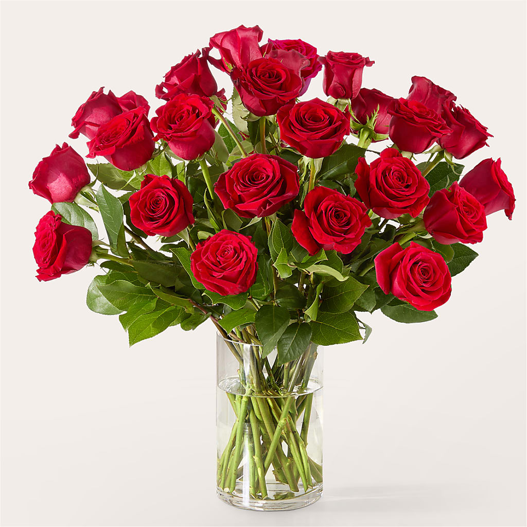 The One Red Rose Bouquet –  The Florist Ltd, Denton TX