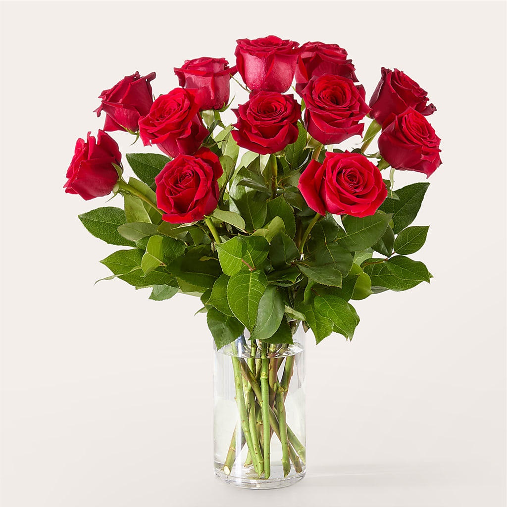 The One Red Rose Bouquet –  The Florist Ltd, Denton TX