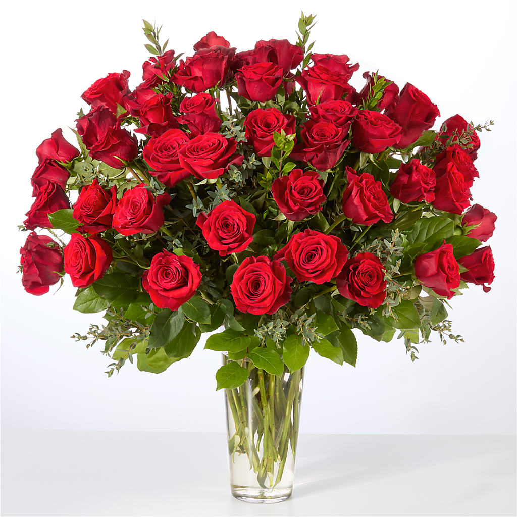 Forever Yours Fifty Stem Red Rose Bouquet –  The Florist Ltd, Denton TX