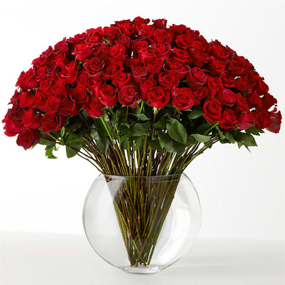 The Idealist –  The Florist Ltd, Denton TX