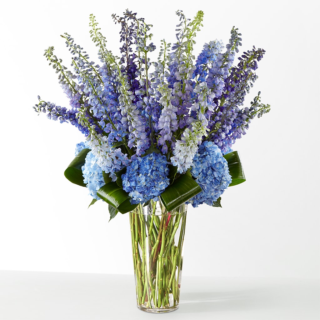 The Editorial –  The Florist Ltd, Denton TX