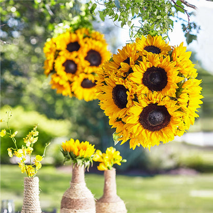 Sublime Garden Hanging Arrangement –  The Florist Ltd, Denton TX