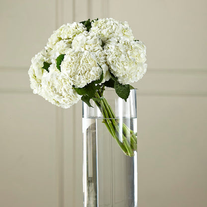 White Hydrangea Hand-Tied Bouquet –  The Florist Ltd, Denton TX